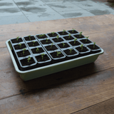 AllotMate Essentials 24 Cell Self-Watering Seed Success Kit Propagator