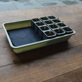 AllotMate Essentials 24 Cell Self-Watering Seed Success Kit Propagator