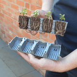 AllotMate Essentials 24 Cell Self-Watering Seed Success Kit Propagator
