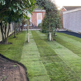 IBRAN Grass Parking Grids