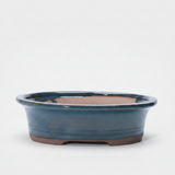 Yorkshire Bonsai Blue Glazed Oval Bonsai Pot - 26x21x7cm