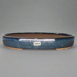 Yorkshire Bonsai Blue Glazed Oval Bonsai Pot Shallow - 26cm