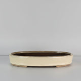 Yorkshire Bonsai Glazed Bonsai Pot Oval Cream - 26cm
