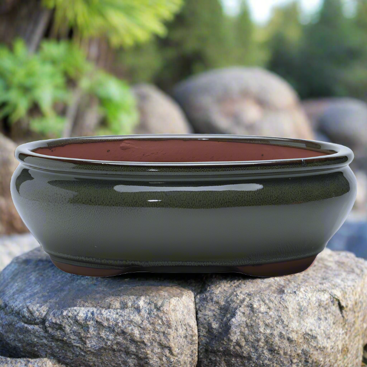 Yorkshire Bonsai Glazed Oval Bonsai Pot Green Ceramic - 26cm
