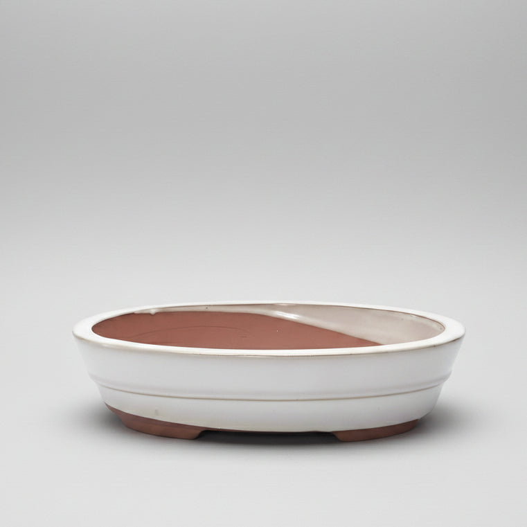 Yorkshire Bonsai White Glazed Oval Bonsai Ceramic Display Pot - 26cm