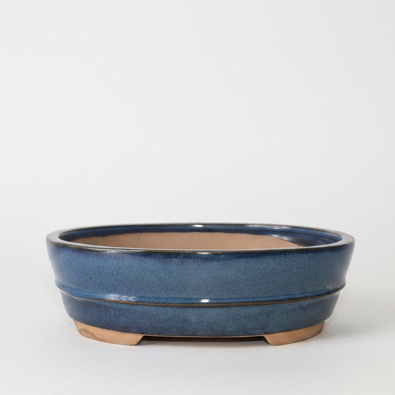 Yorkshire Bonsai Blue Glazed Oval Bonsai Pot 26cm