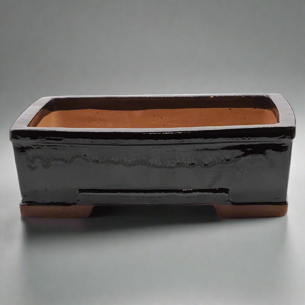 Yorkshire Bonsai Black Glazed Rectangular Bonsai Pot Ceramic - 26cm