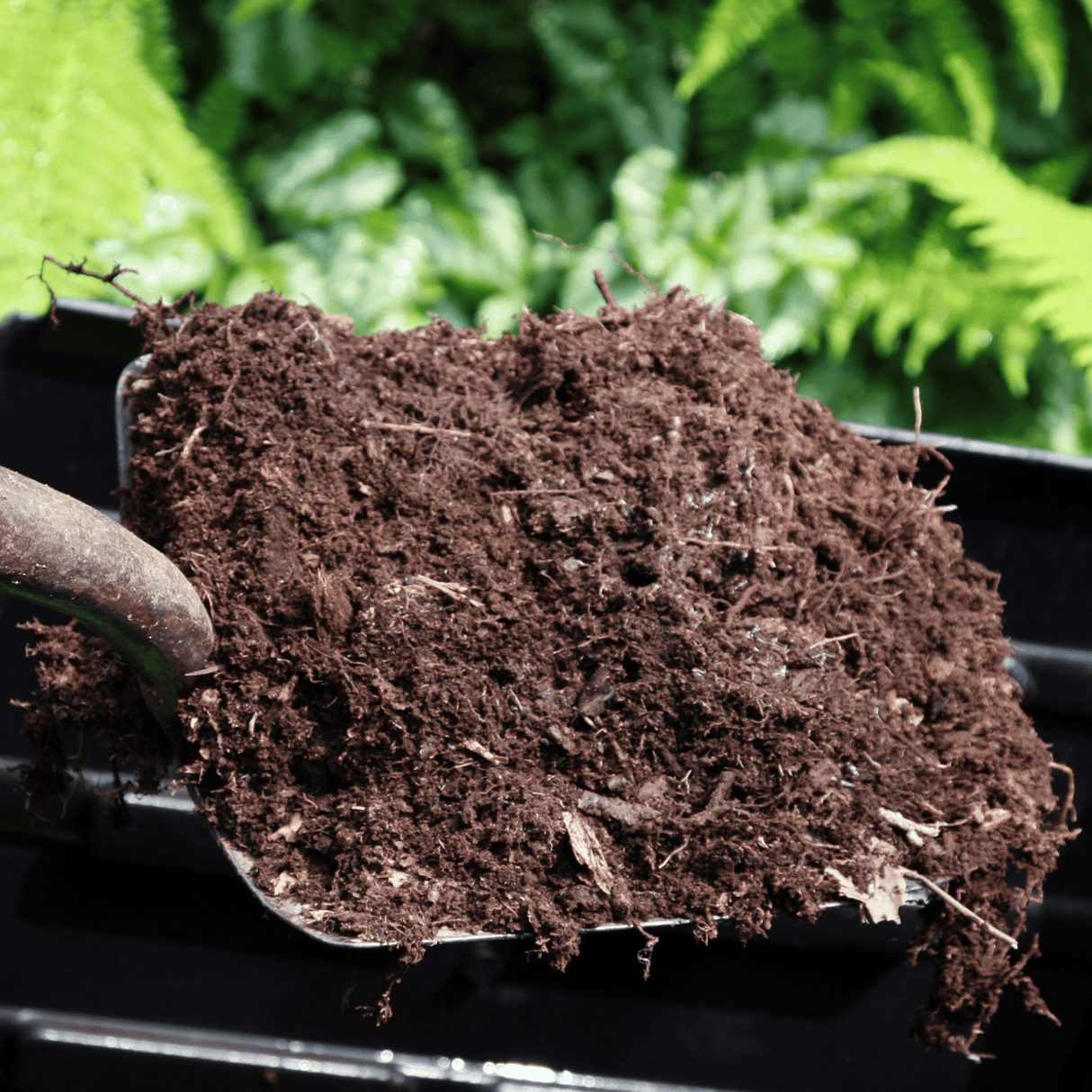 Dandy’s Spent Mushroom Compost