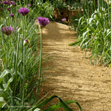 Dandy's Hoggin Self Binding Gravel 10mm to Dust