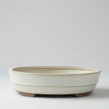 Yorkshire Bonsai White Glazed Oval Bonsai Pot - 31cm