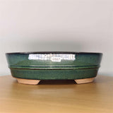 Yorkshire Bonsai Green Glazed Bonsai Pot Oval - 31cm