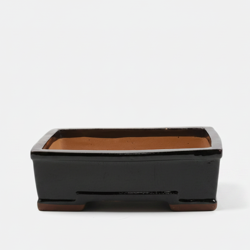 Yorkshire Bonsai Glazed Bonsai Pot Rectangle Black - 31cm