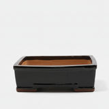 Yorkshire Bonsai Glazed Bonsai Pot Rectangle Black - 31cm