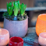 Lowlands Design Beige Glass Pot by DutZ