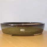 Yorkshire Bonsai Green Glazed Oval Bonsai Pot 32cm Large