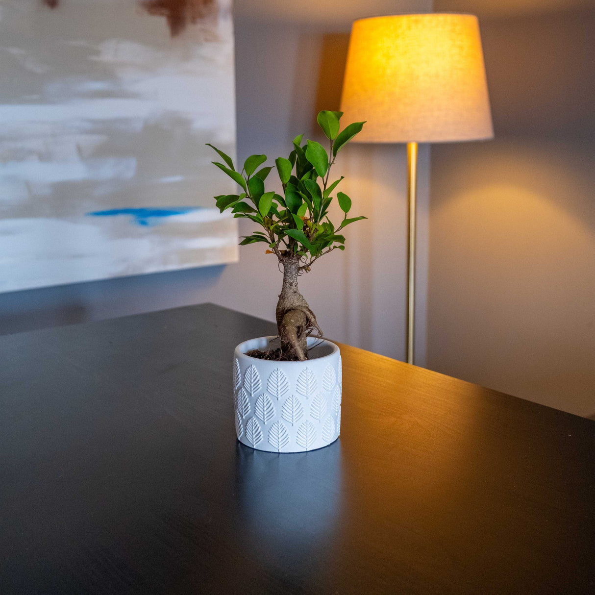 Gloria Home White Concrete Ivy Pot & Green Planter