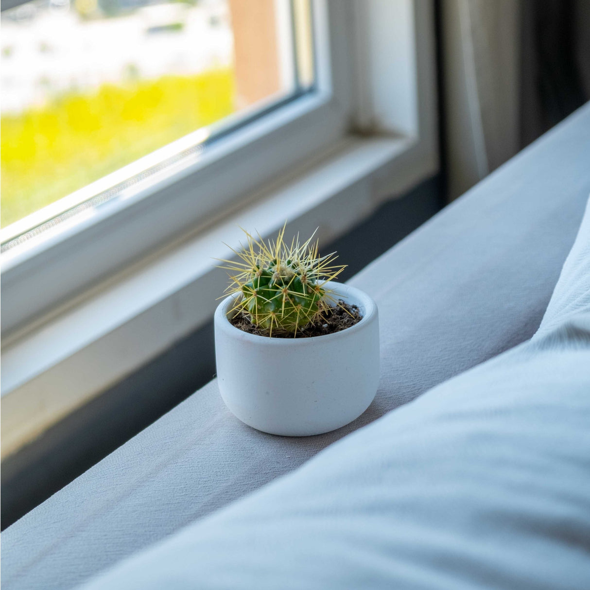 Gloria Home Small White Concrete Dolphin Pot