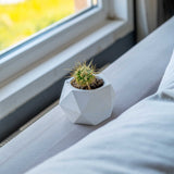 Gloria Home White Concrete Polygonal Pot