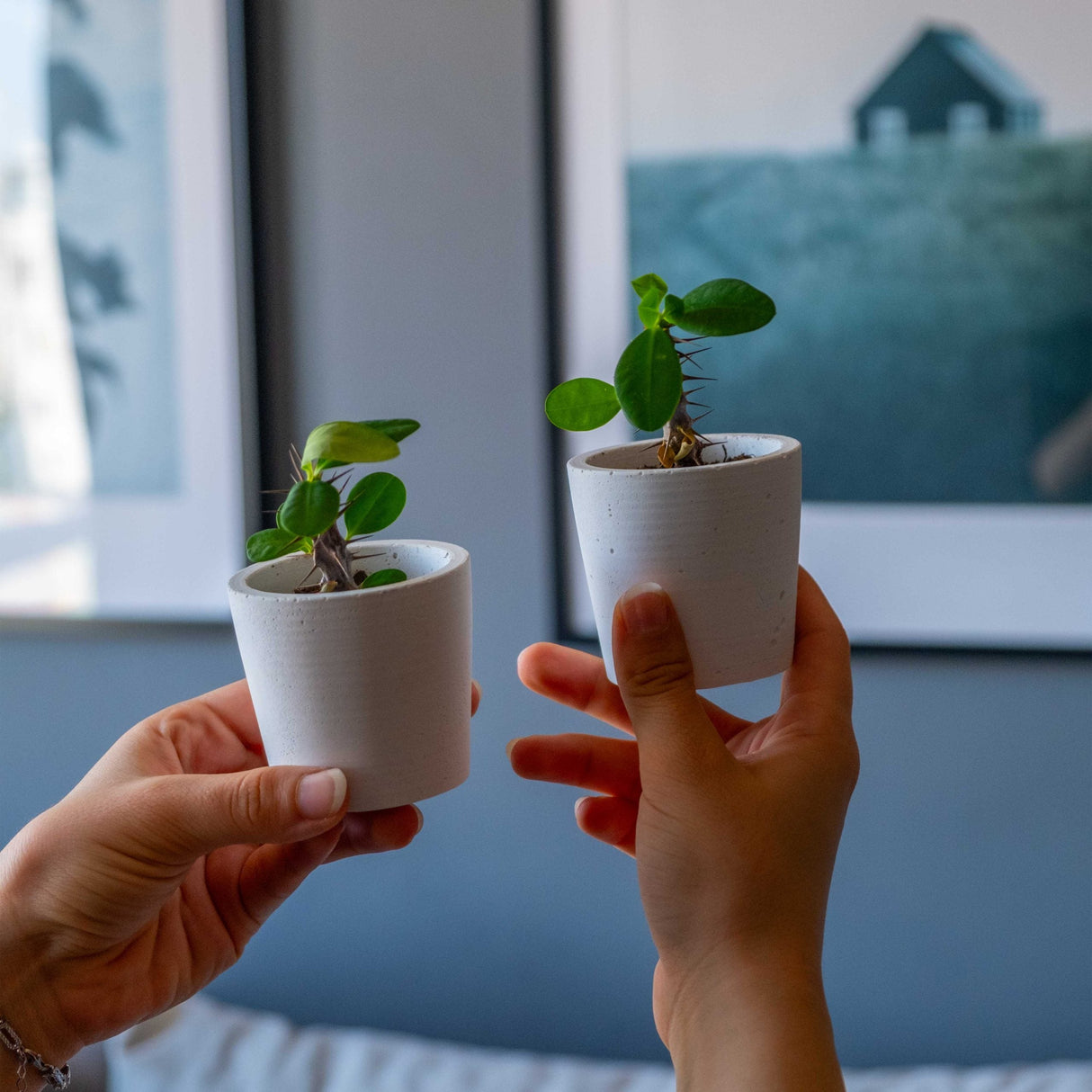 Gloria Home White Concrete Blossom Plant Pot