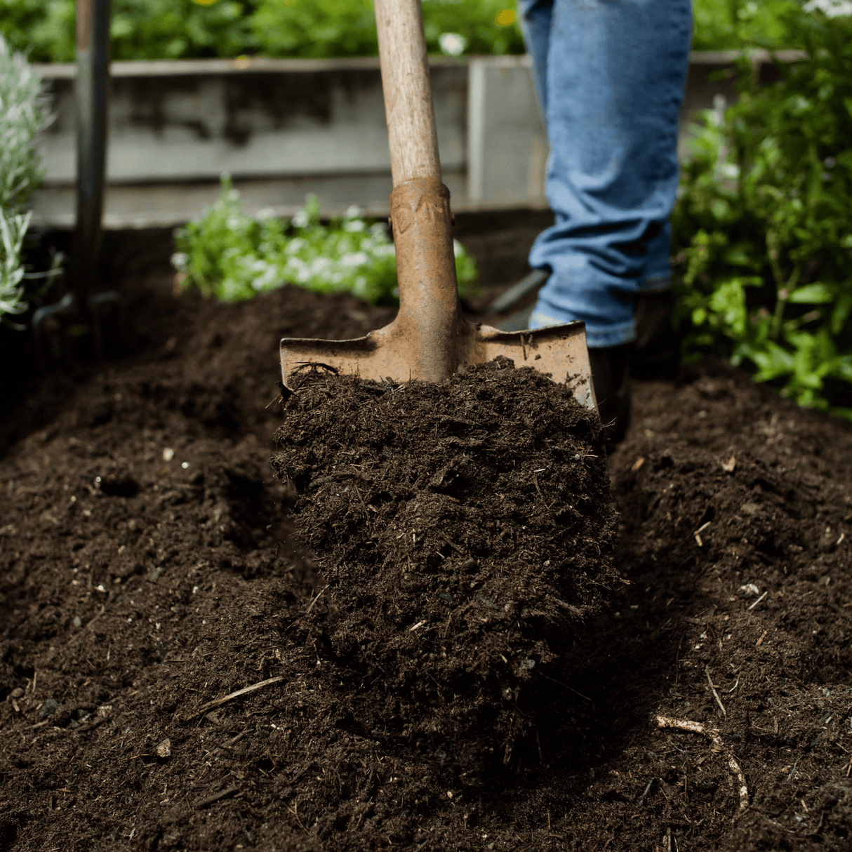 Dandy’s Summermix Compost Garden Mulch