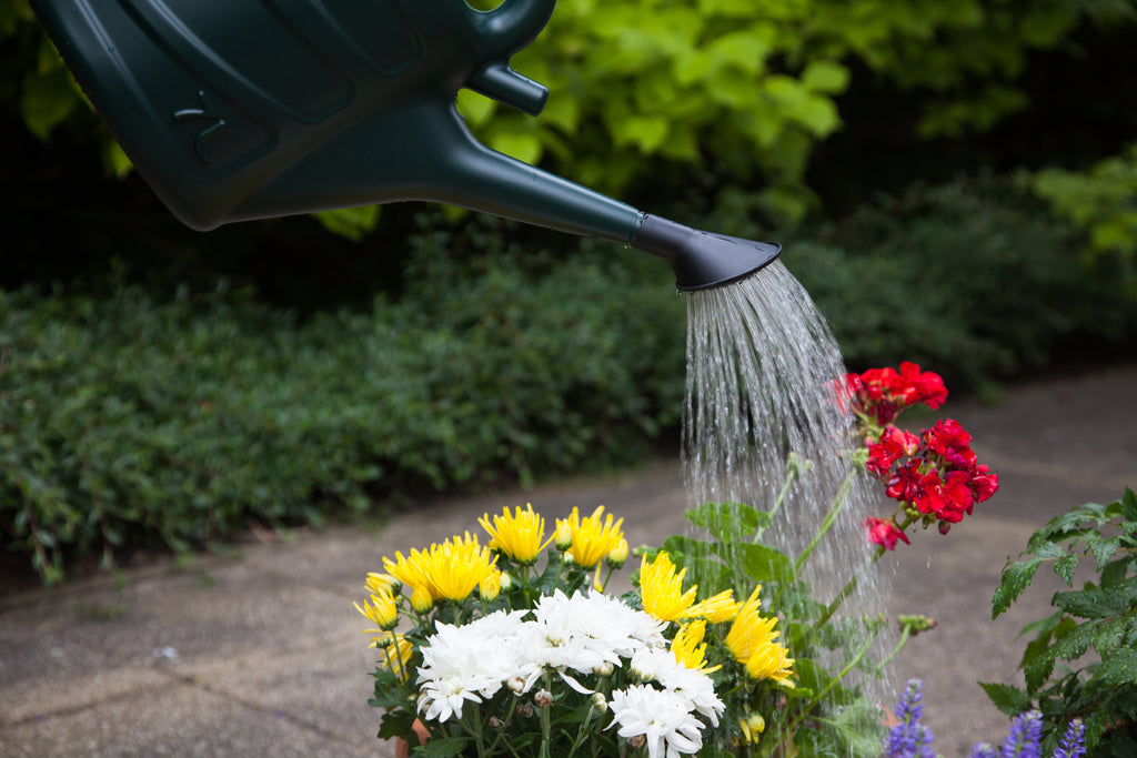 Whitefurze Green Watering Can, 5L