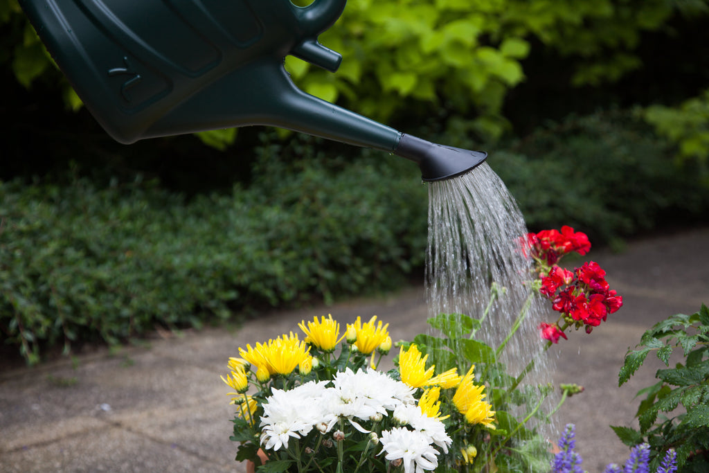 Whitefurze Red Watering Can, 5L