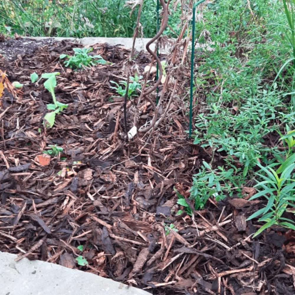 Dandy’s Landscaping Garden Bark Mulch