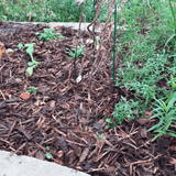 Dandy’s Landscaping Garden Bark Mulch