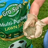 Dandy's Complete Lawn Care Kit