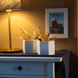 Gloria Home White Concrete Honeycomb Plant Pot
