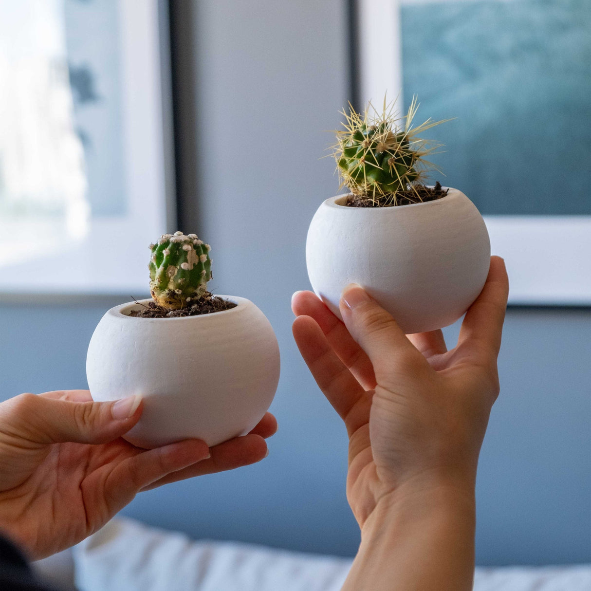 White Concrete Round Plant Pot by Gloria Home