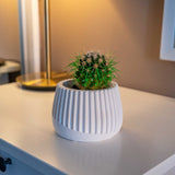 Gloria Home White Concrete Mug Plant Pot