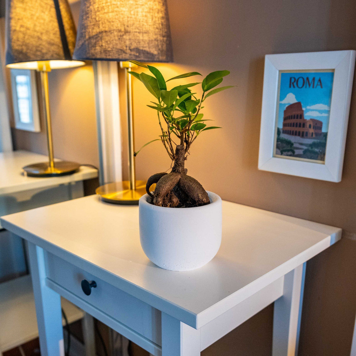 Gloria Home Concrete Big Dolphin Plant Pot