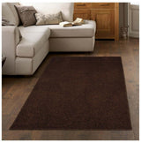 Fiji Chocolate Brown Washable Solid Shaggy Rug by The Rugs