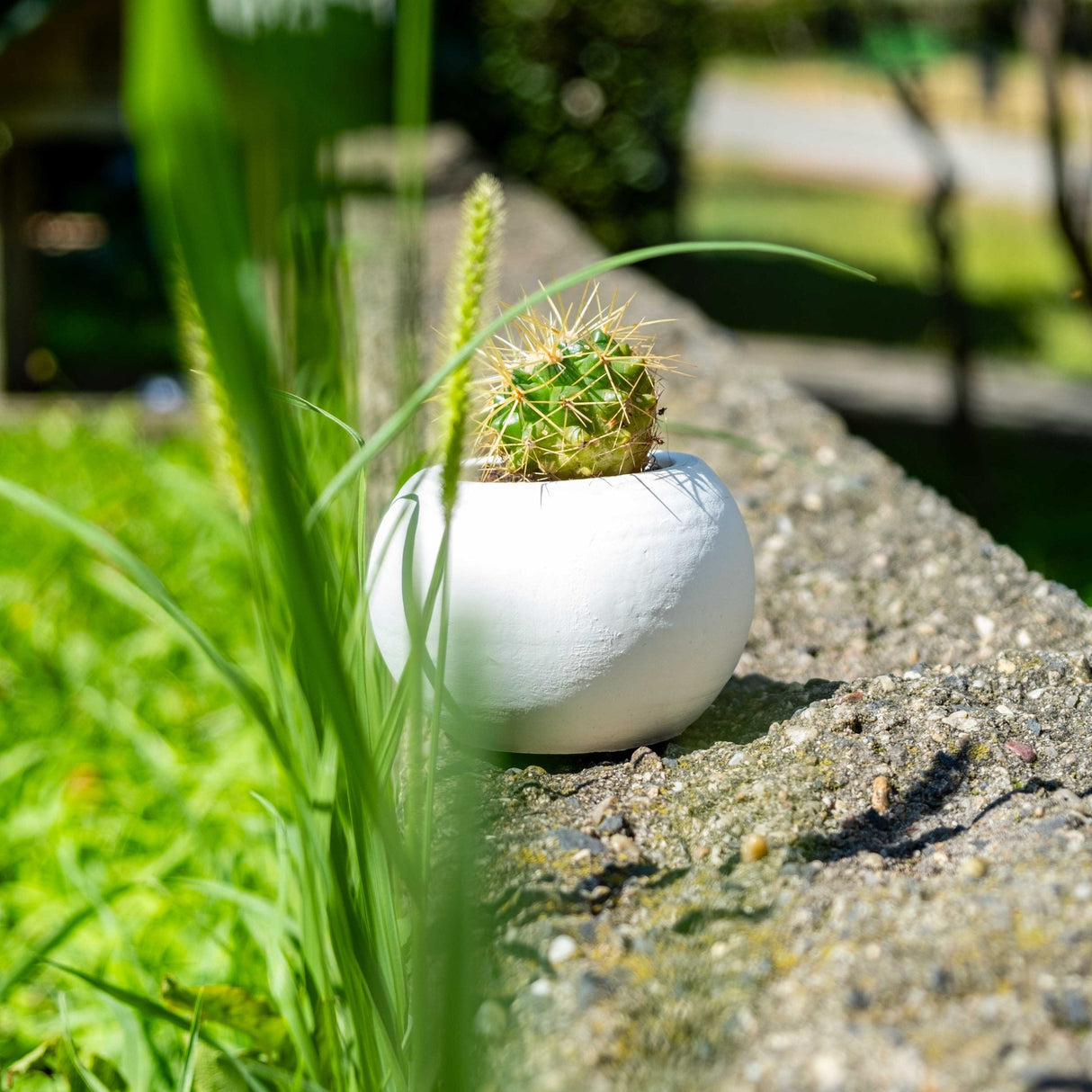 White Concrete Round Plant Pot by Gloria Home