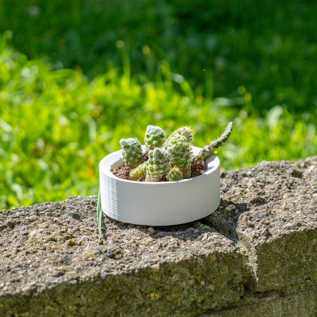 Gloria Home White Concrete Handle Plant Pot
