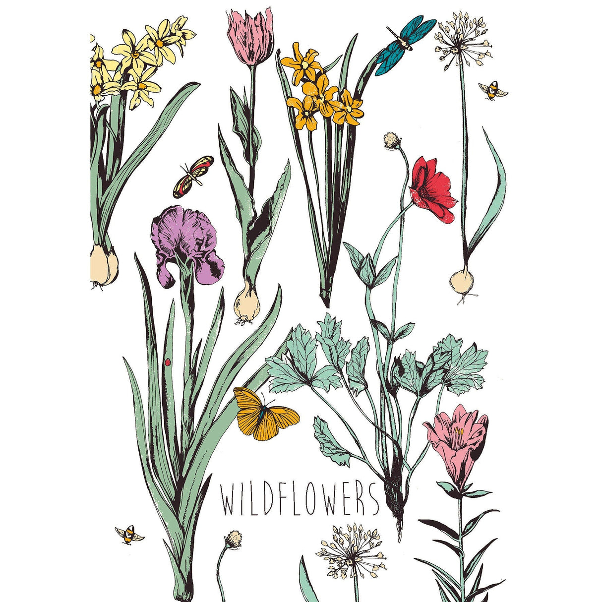 Pressed Flowers Greeting Card | Katie Hipwell Design