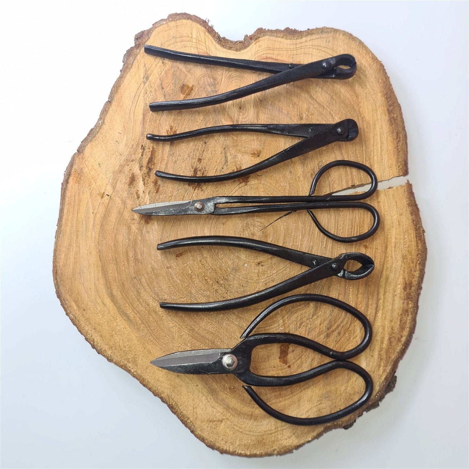 Yorkshire Bonsai 5 Piece Bonsai Tool Kit with Zip Case