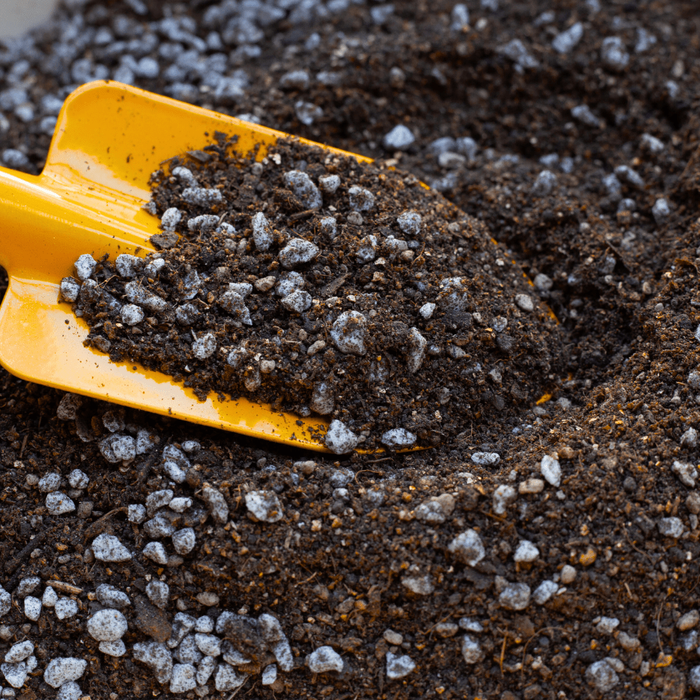 Dandy’s RootMax Tree Planting Soil