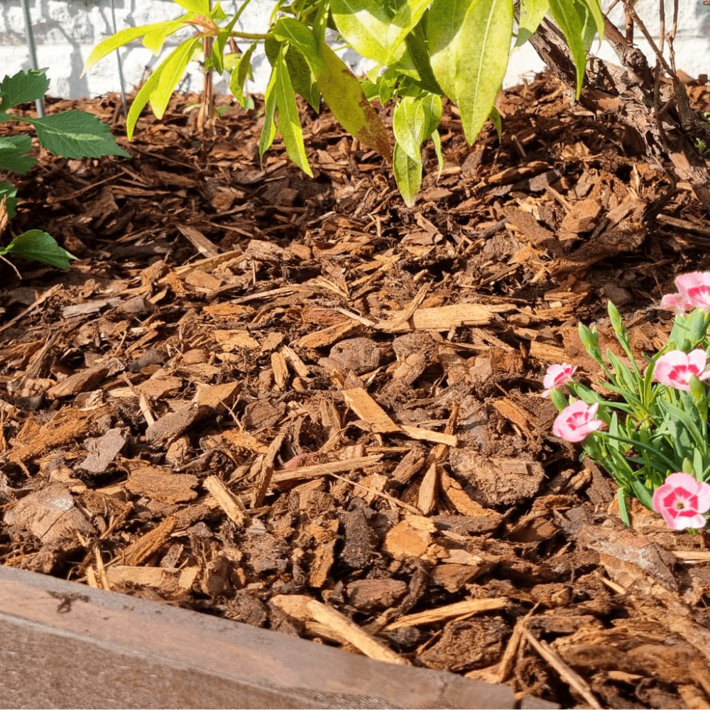 Dandy’s Premium Border Landscaping Bark Mulch