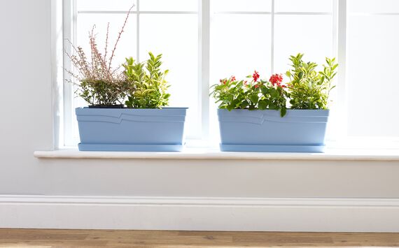 Whitefurze Boston Blush Window Box, 49cm