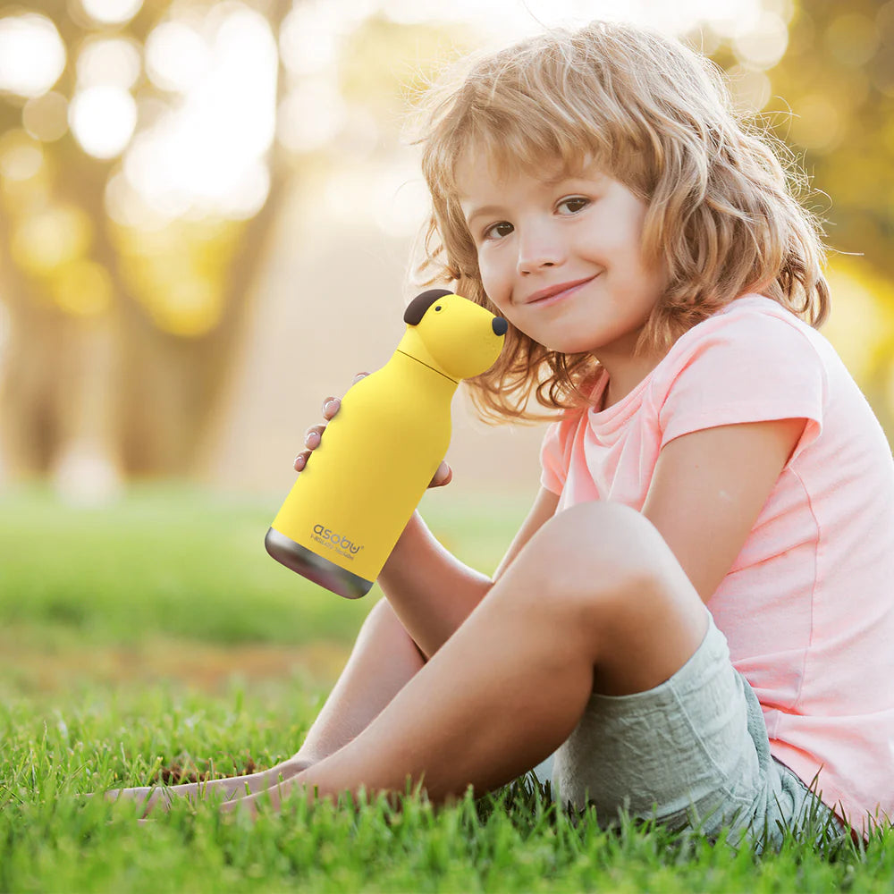 Asobu Doggie Bestie Bottle, 460ml