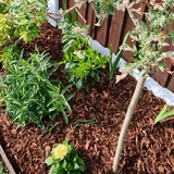 Dandy’s Premium Border Landscaping Bark Mulch