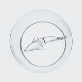 Jeray Bar Bespoke Shark In A Glass Tumbler, 550ml
