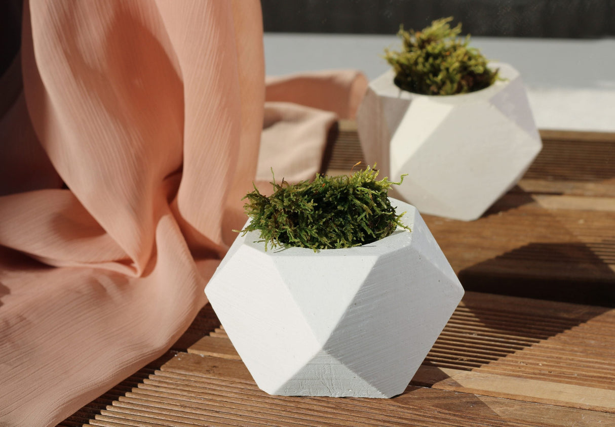Gloria Home White Concrete Hexagonal Plant Pot