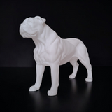 Filamora Studios Realistic American Bulldog Sculpture