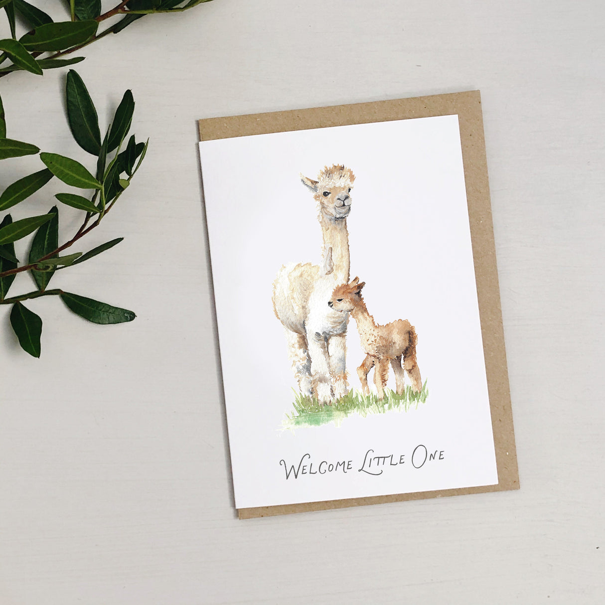 Alpaca New Baby Greetings Card Katie Hipwell Design