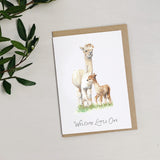 Alpaca New Baby Greetings Card Katie Hipwell Design