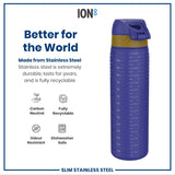 ION8 Leak Proof NFL Water Bottle, Stainless Steel, Baltimore Ravens, 600ml (20oz)