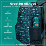 ION8 Leak Proof Slim Water Bottle, Stainless Steel, Automobiles, 600ml (20oz)